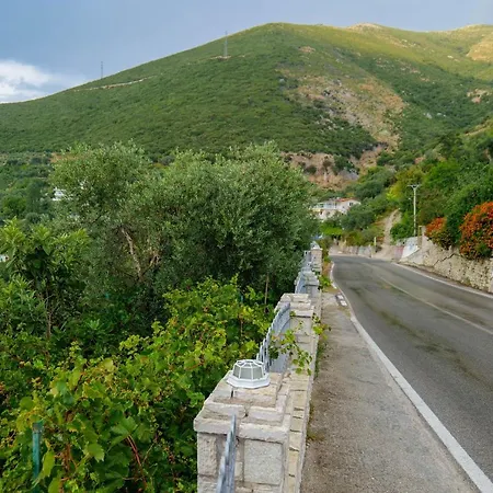 Ani * Borş