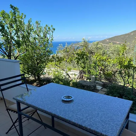 Apartman Ani Borsh