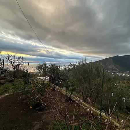 Ani Appartamento Borsh